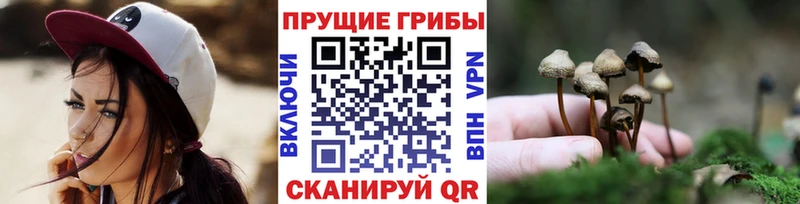 Галлюциногенные грибы Psilocybine cubensis  Троицк 